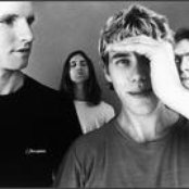 Reef - List pictures