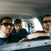 Doves - List pictures