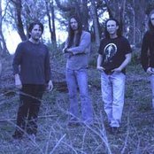 Winger - List pictures