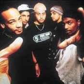 Rascalz - List pictures