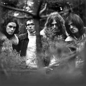 Witchcraft - List pictures