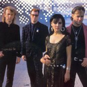 Cock Robin - List pictures