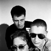 Front 242 - List pictures