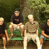 Brodie - List pictures