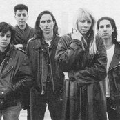 Live Skull - List pictures