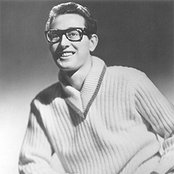 Holly Buddy - List pictures