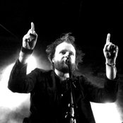 Admiral Freebee - List pictures