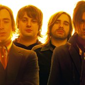 Elefant - List pictures