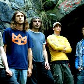 Grim Skunk - List pictures