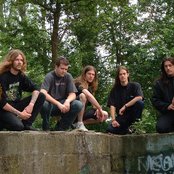 Backlash - List pictures