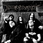 Crown - List pictures