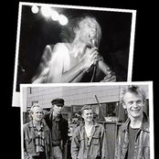 Neljä Ruusua - List pictures