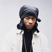 Mr. Cheeks - List pictures