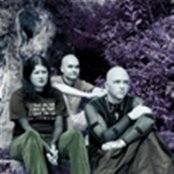 Ask Embla - List pictures