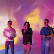 Husker Du - List pictures