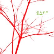 Bard - List pictures