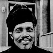 Big Walter Horton - List pictures