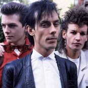 Bauhaus - List pictures