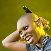 Skin - List pictures