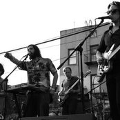 The Fresh & Onlys - List pictures