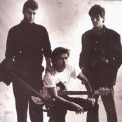 Nacha Pop - List pictures