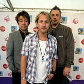 Feeder - List pictures