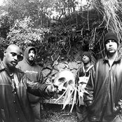 Cypress Hill - List pictures