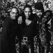 Cameo - List pictures