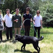 Delta Spirit - List pictures