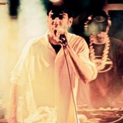 Ugly Duckling - List pictures