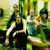 Addiction Crew - List pictures