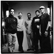 Tortoise - List pictures