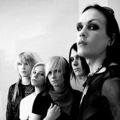 Cinema Bizarre - List pictures