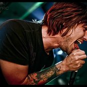 Finch - List pictures