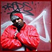 Yogi - List pictures