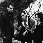 Moonchild - List pictures