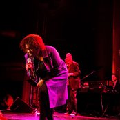 Club Des Belugas - List pictures