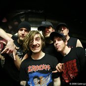 Bigwig - List pictures