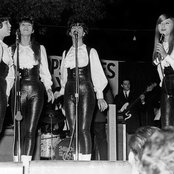 The Shangri-las - List pictures