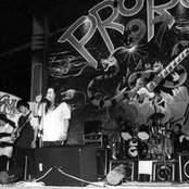 Protonema - List pictures