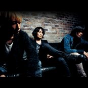 Does - List pictures