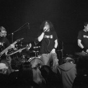 Within Y - List pictures