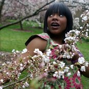 Choklate - List pictures