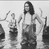 Meat Puppets - List pictures