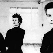 Love And Rockets - List pictures