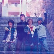 Heads - List pictures