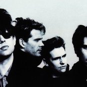 Echo & The Bunnymen - List pictures
