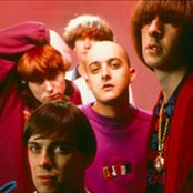 Inspiral Carpets - List pictures