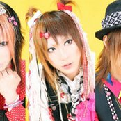 Teddy - List pictures