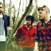 Yeasayer - List pictures